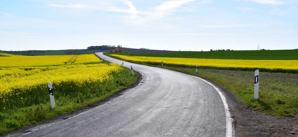 naroow curvy road through yellow fields